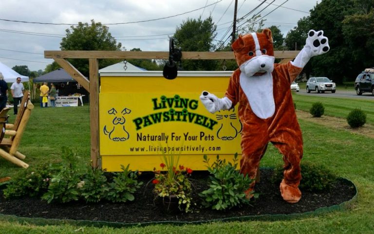 1240519 384555211671991 1435712531 n 768x481