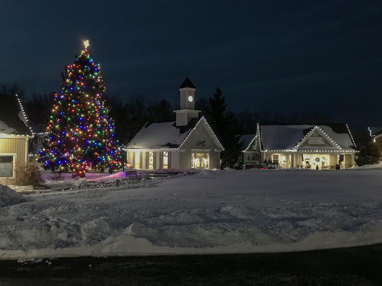 131818728 5068105699873769 9095694495781239226 o 768x576