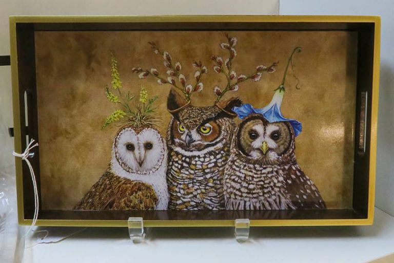 135376270 4476335232383241 8009825342252209691 n 768x512