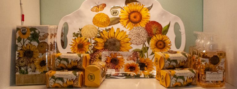 147978499 4576096789073751 6642311618545355739 n 768x288