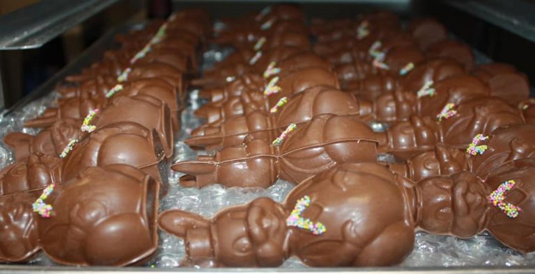 150240568 3492155430911824 8175904208438184652 n 768x394