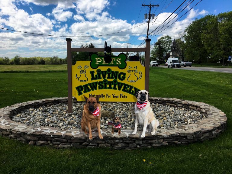 18623691 1197782787015892 8701594008477618361 o 768x576