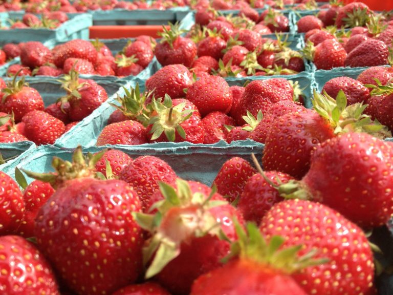 191411 10151628677127878 1474686401 o 768x576