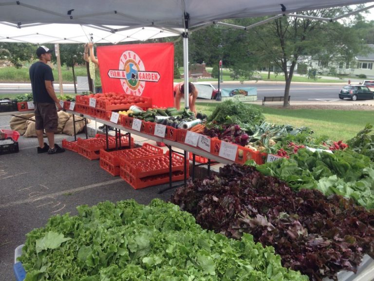 539213 10151047723167878 1987693751 n 768x576