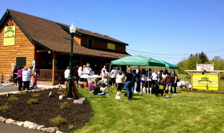 577681 330242277103285 1853384322 n 768x458