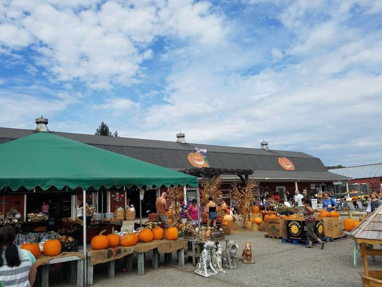 935d16cfbc3a5a484553a7c68f9a6c42  united states new jersey sussex county lafayette township new jersey 15 222 ideal farm garden center 72100 768x576