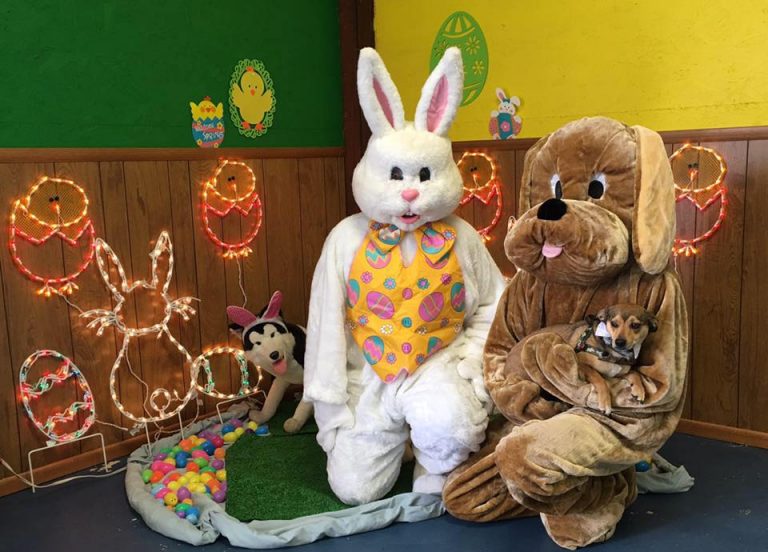 995343 836294116498096 5402298636038653863 n 768x552