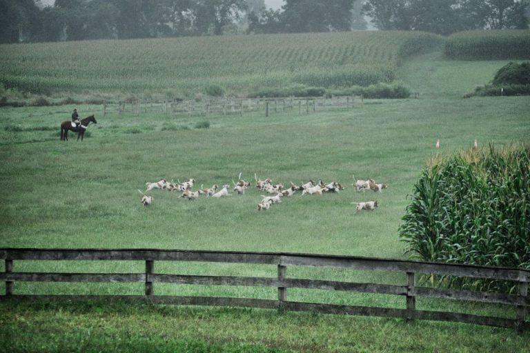 1170729 553289161386922 176447901 n 768x512