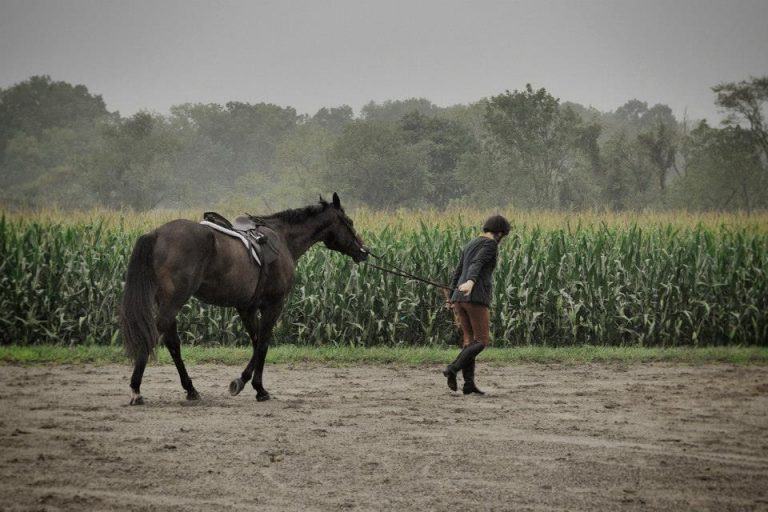 1185356 553289264720245 2053018594 n 768x512