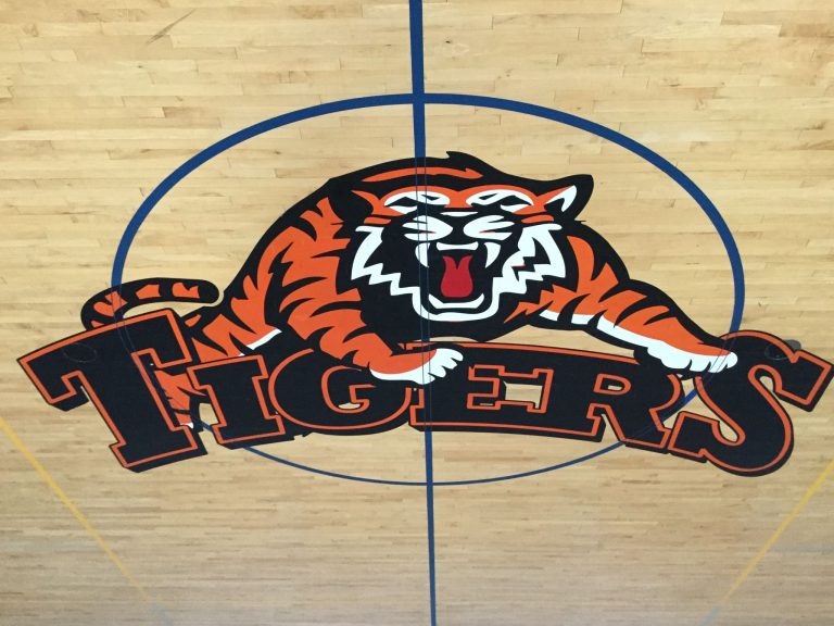 11951516 1525963621026979 8669637350576185945 o 768x576