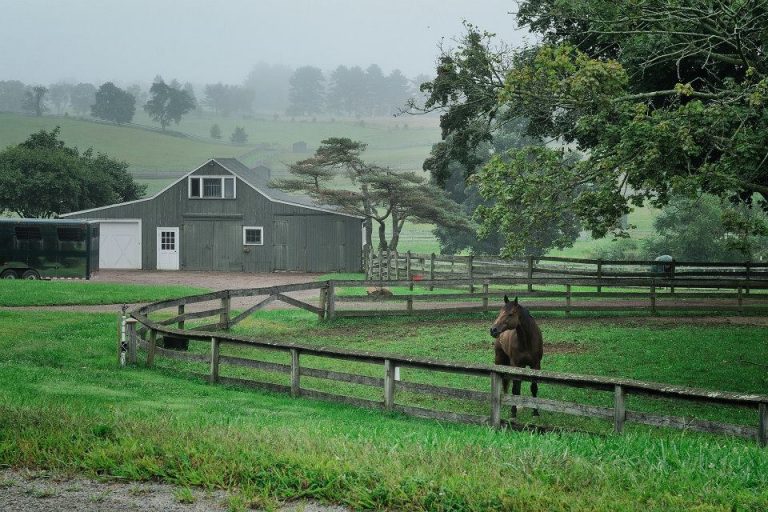 1233374 553289208053584 886545215 n 768x512