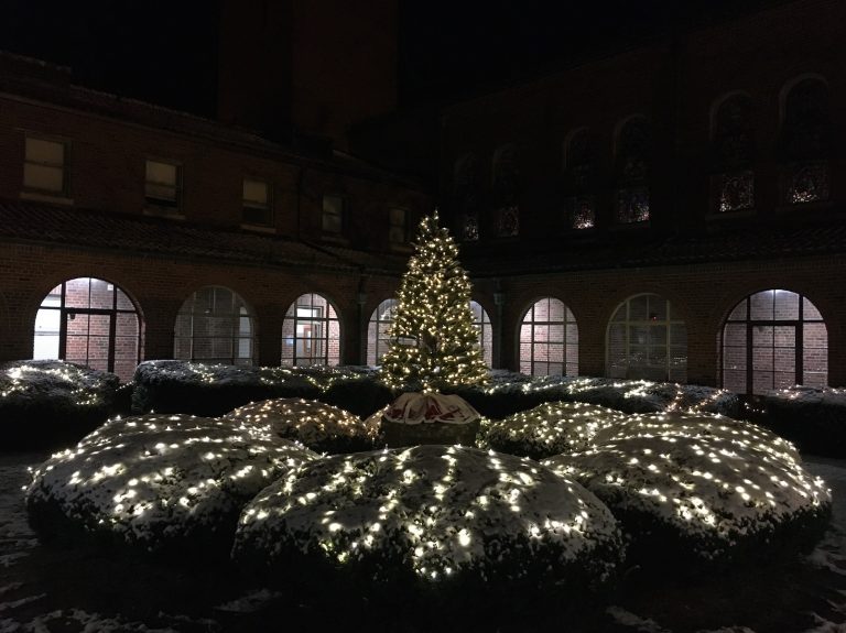 133397374 2813133198954997 4778002262556440783 o 768x575