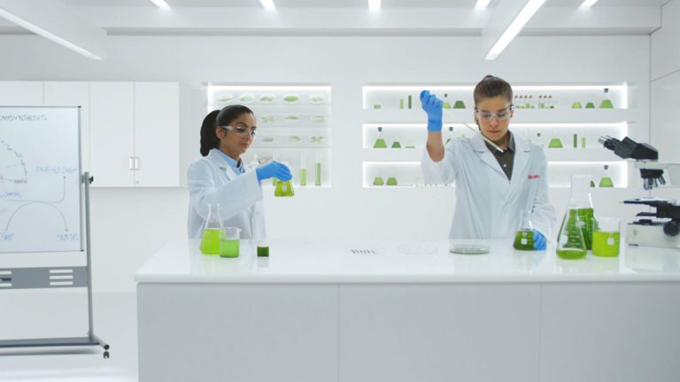 30051815 1601975106586235 5756773681239394669 o 768x432