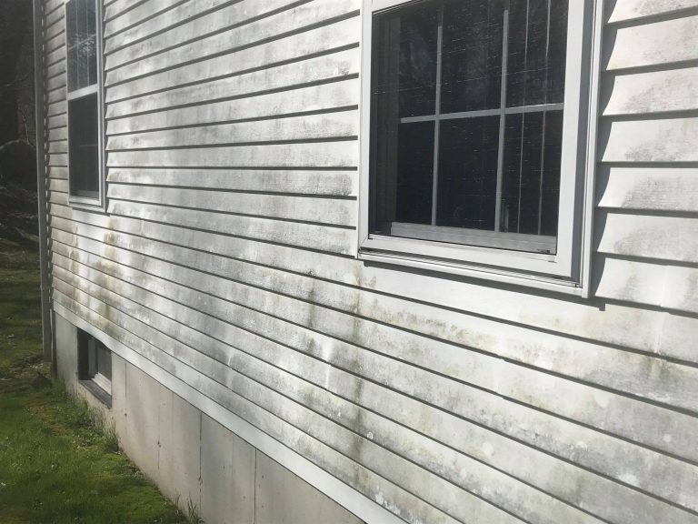 57314197 2180821718620268 513457469016506368 o 768x576